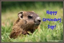 Groundhog day